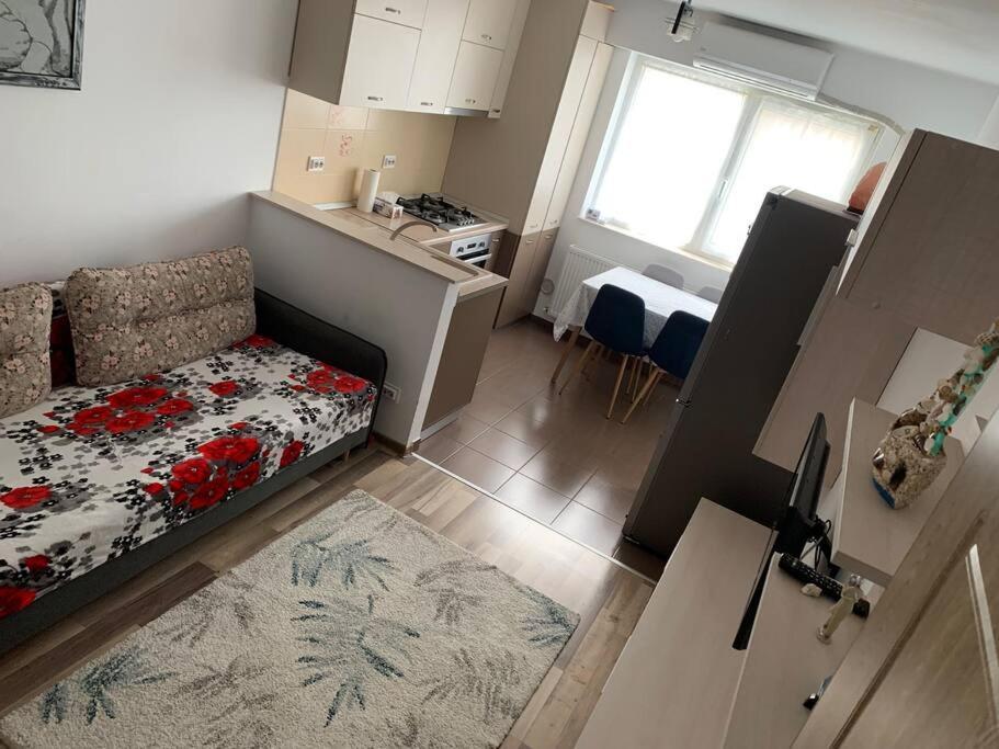 Lovely Bacau 1 Bedroom Apartment 外观 照片