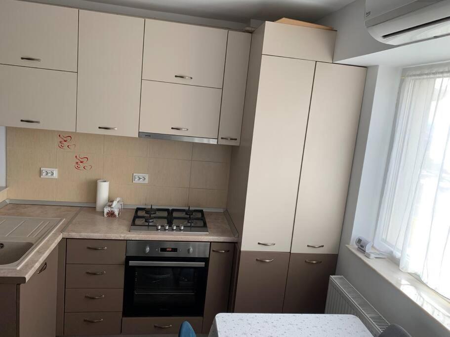 Lovely Bacau 1 Bedroom Apartment 外观 照片